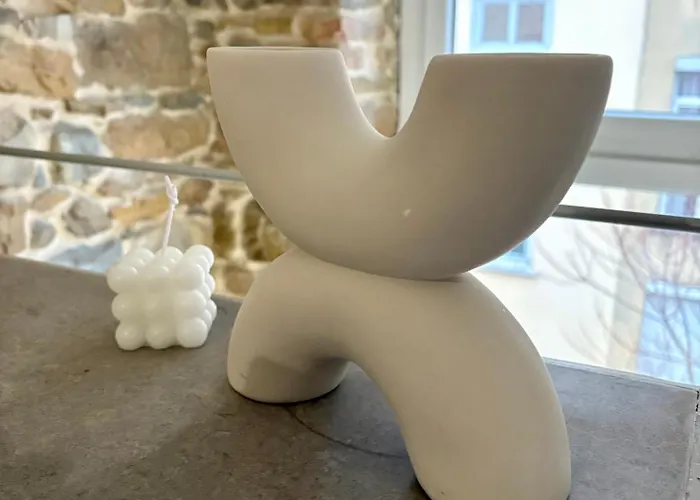 Le Cosy De Croix-rousse Appartement