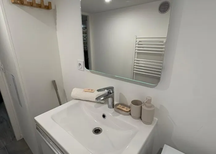 Appartement Le Cosy De Croix-rousse