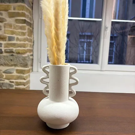 Le Cosy De Croix-rousse